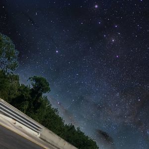 Meet your Posher, Shelly